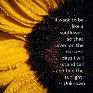 Meet your Posher, Shelley